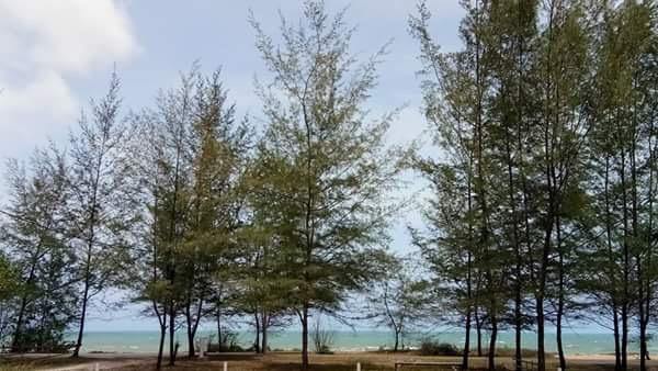 Paka Tamim Seaview Hotel Eksteriør bilde